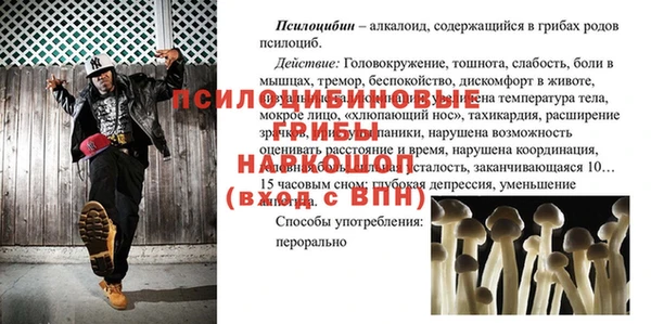 альфа пвп Нея
