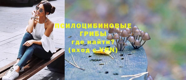 альфа пвп Нея